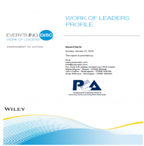 image work of leaders sample report